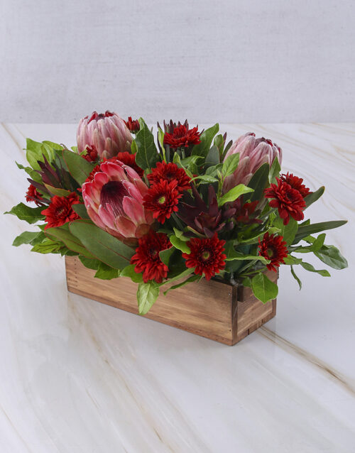 Daring Proteas And Sprays In Crate