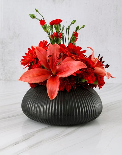Daring Red Blooms In Black Pot (Standard)