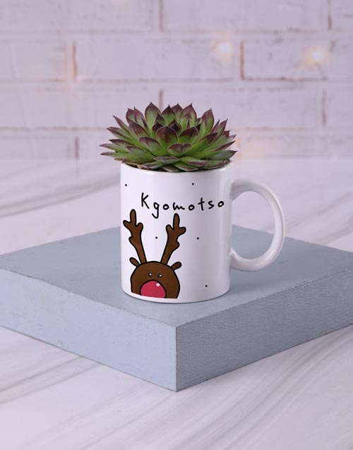 Oh Deer Its A Succulent In Mug (Standard)