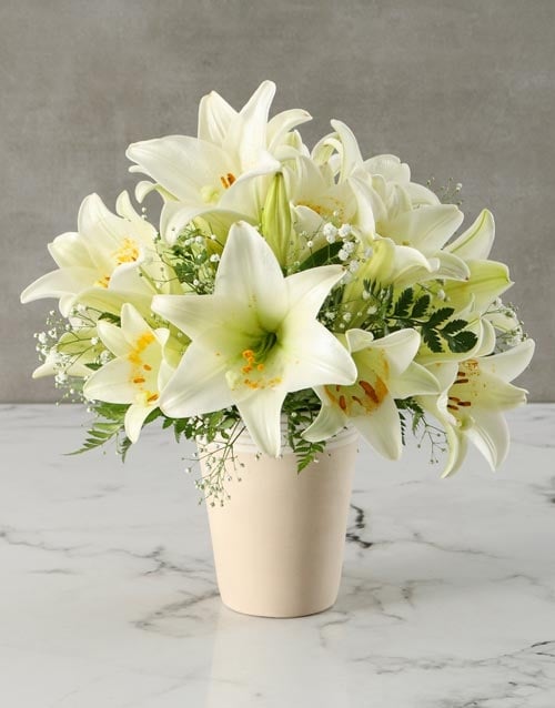 Brilliant White Lily Arrangement (STANDARD)