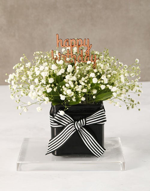 White Million Stars In A Black Vase (STANDARD)