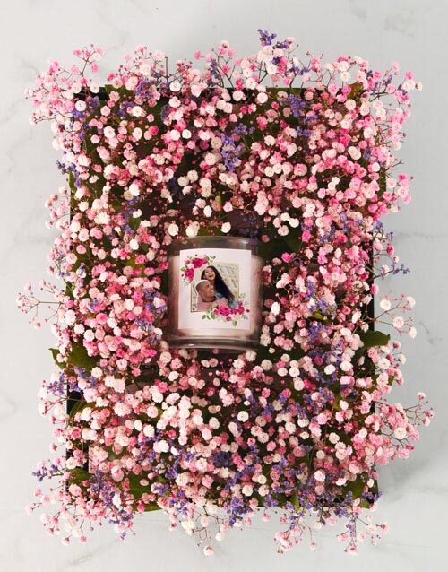 Million Stars Gift Nest