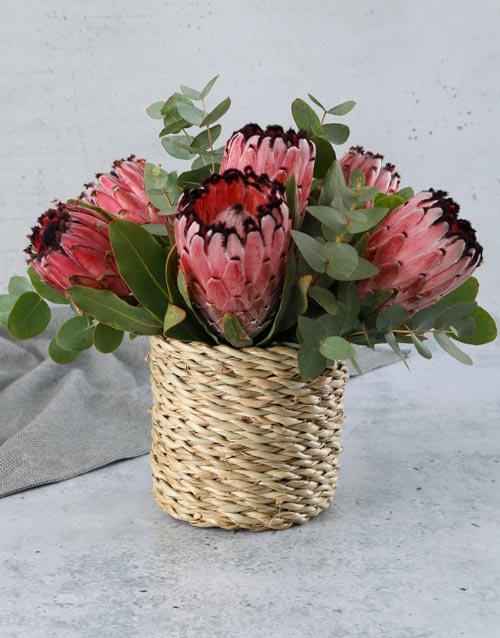Enchanted Protea And Rose Crate