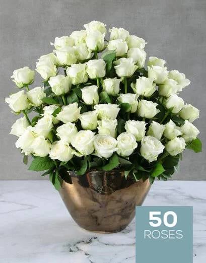 Fifty White Roses In Bronze Vase