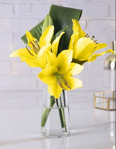 Yellow Asiflorum Lilies In Bud Vase
