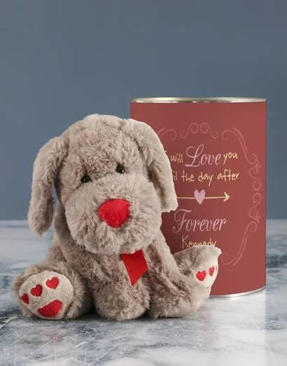 Personalised Heart Paws Teddy (STANDARD)