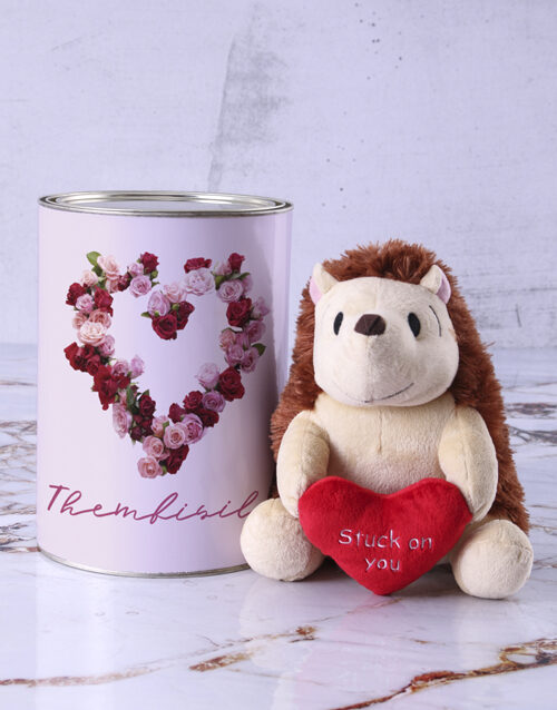 Personalised Love Hedgehog Teddy (STANDARD)