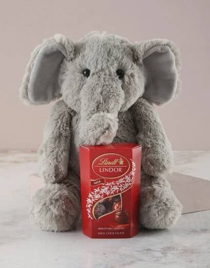Elephant Plush Toy and Lindt