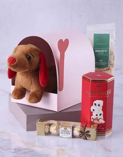 Dachshund Teddy And Treats
