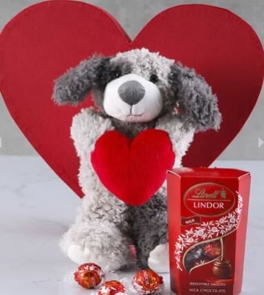 Heartfelt Pooch Plush Surprise