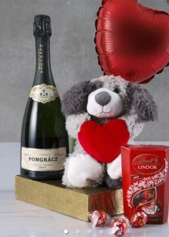 Heartwarming Pooch Plush Gift Box