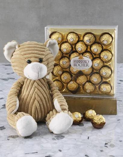 Brown Teddy And Ferrero Rocher Gift Set