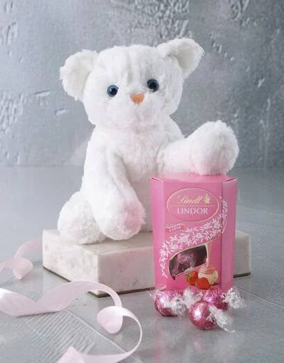 Cat Teddy And Lindt Chocolate (Standard)