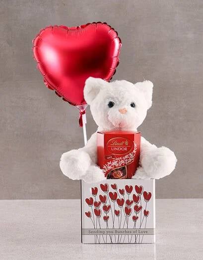 Cat Teddy And Balloon In Box (Standard)