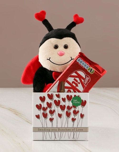 Ladybug Love And Kitkat Hamper (STANDARD)