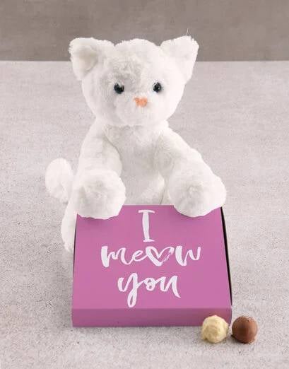 Kitty Cat Teddy With Chocolate Tray Hamper