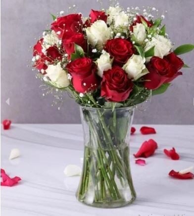 Red and White Roses in Clear Vase