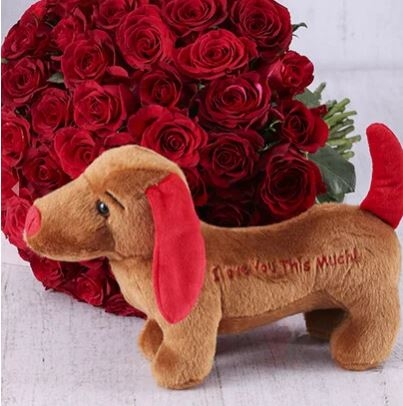 Red Rose Serenade Bouquet (50Roses)