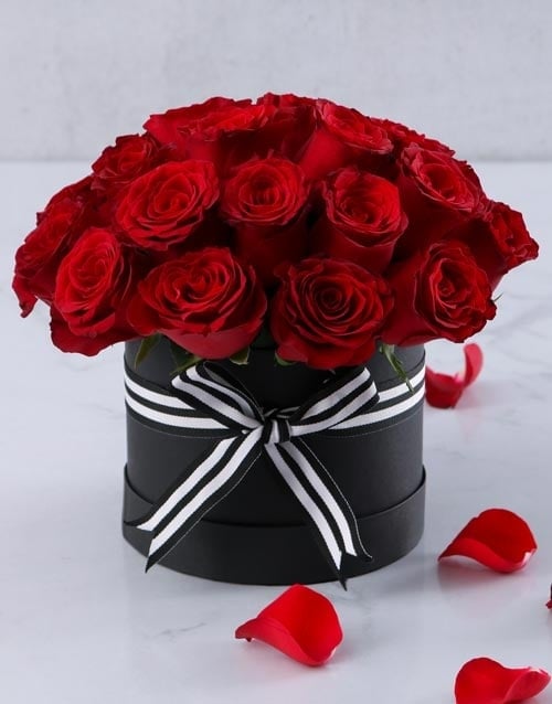 Red Beauty In Black Hatbox