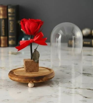 Love Everlasting Rose In A Dome