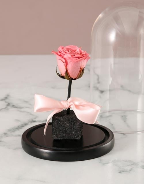 Pink Rose In Glass Dome