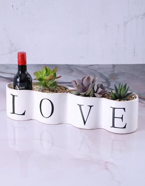 Succa For Love Pot