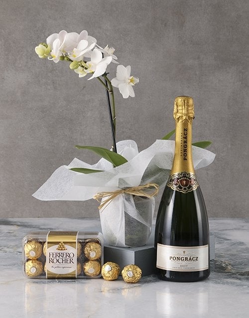 Romantic Phalaenopsis Orchid Gourmet Hamper