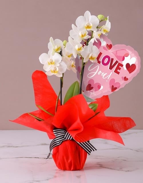 Divine Orchids With A Balloon