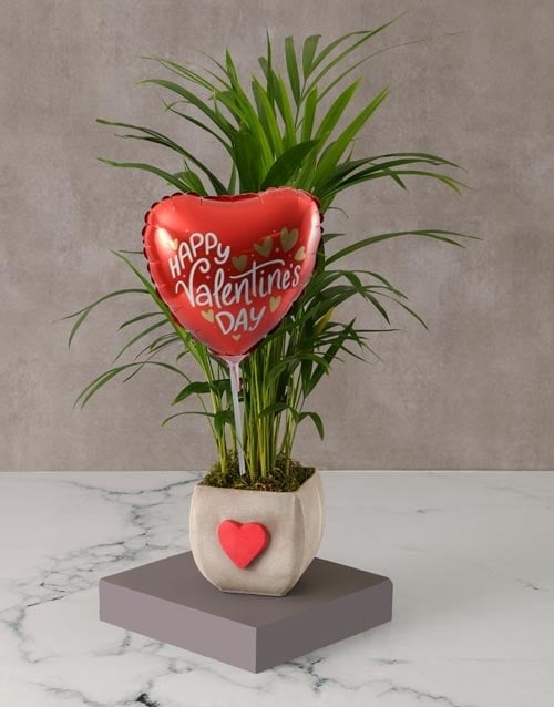 Heartfelt Areca Bamboo Planter