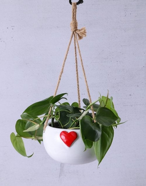 Red Heart Love Leaf