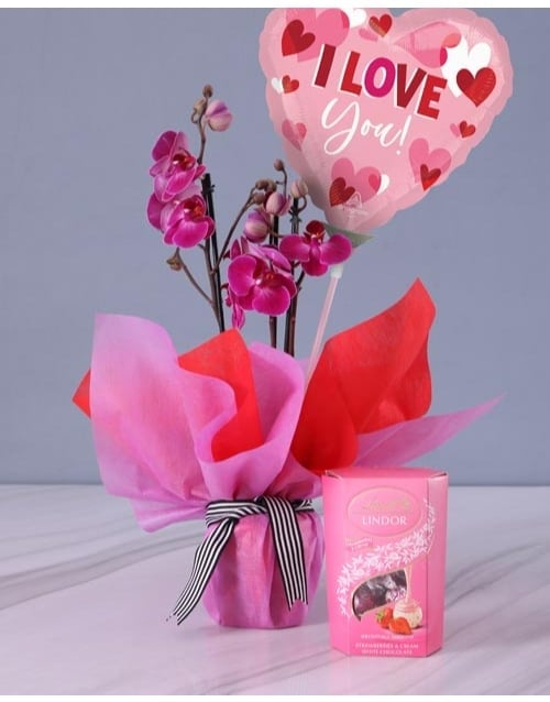 Oh So Sweet Pink Orchids