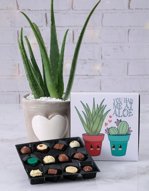Aloe You Chocolate Set