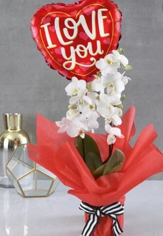 I Love You Heart Orchid