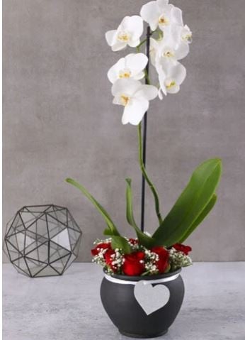 Lily And Crimson Rose Embrace Black Pot
