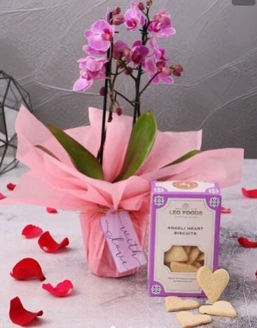 Sweet Orchid Delight With Biscuits