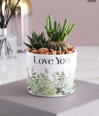 Love You Succulent In A Pot