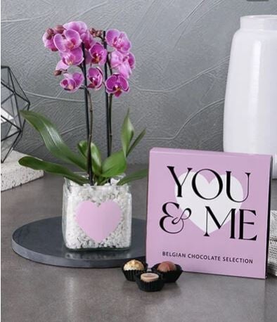 You And Me Pink Orchid And Chocolates
