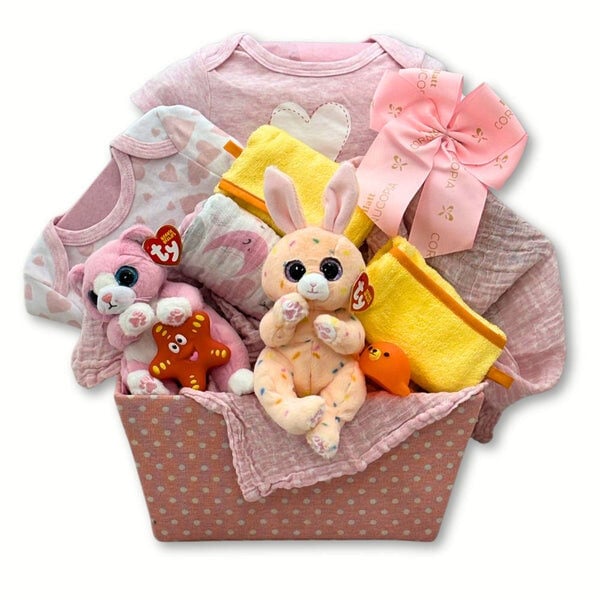 Double the Fun Twin Girls Gift Basket Double the Fun Twin Girls Gift Basket