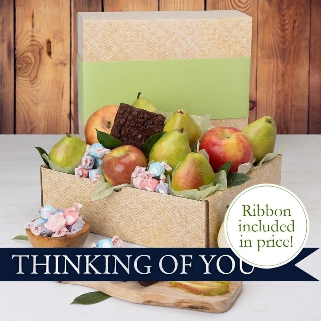 Study Break Gift Box