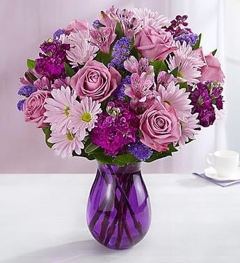LAVENDER & PURPLE (Regular)