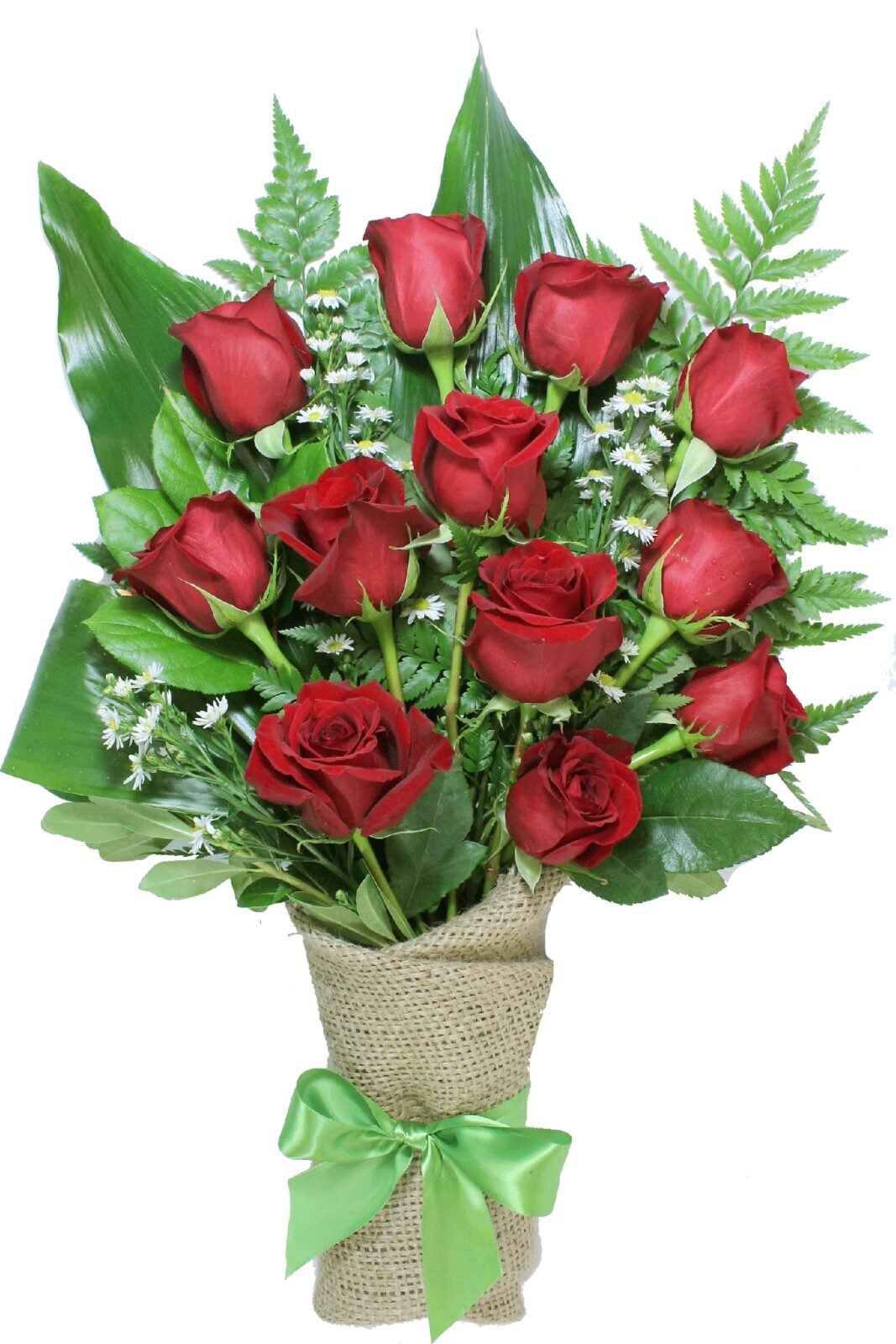 12 Red Roses