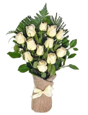 12 White Roses