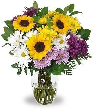 Sunflower Delight (Regular (As Shown))