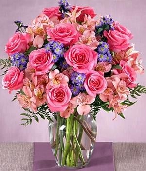 PINK RAINBOW (Regular (As Shown))