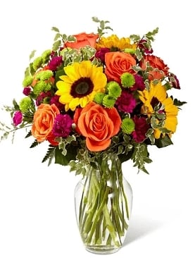 Colors Of Passion