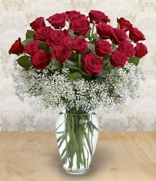 FIELD OF ROSES