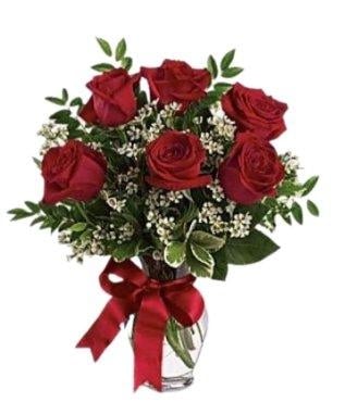 6 Red Roses (Regular)