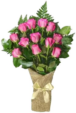 12 Pink Roses
