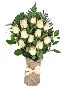 12 White Roses