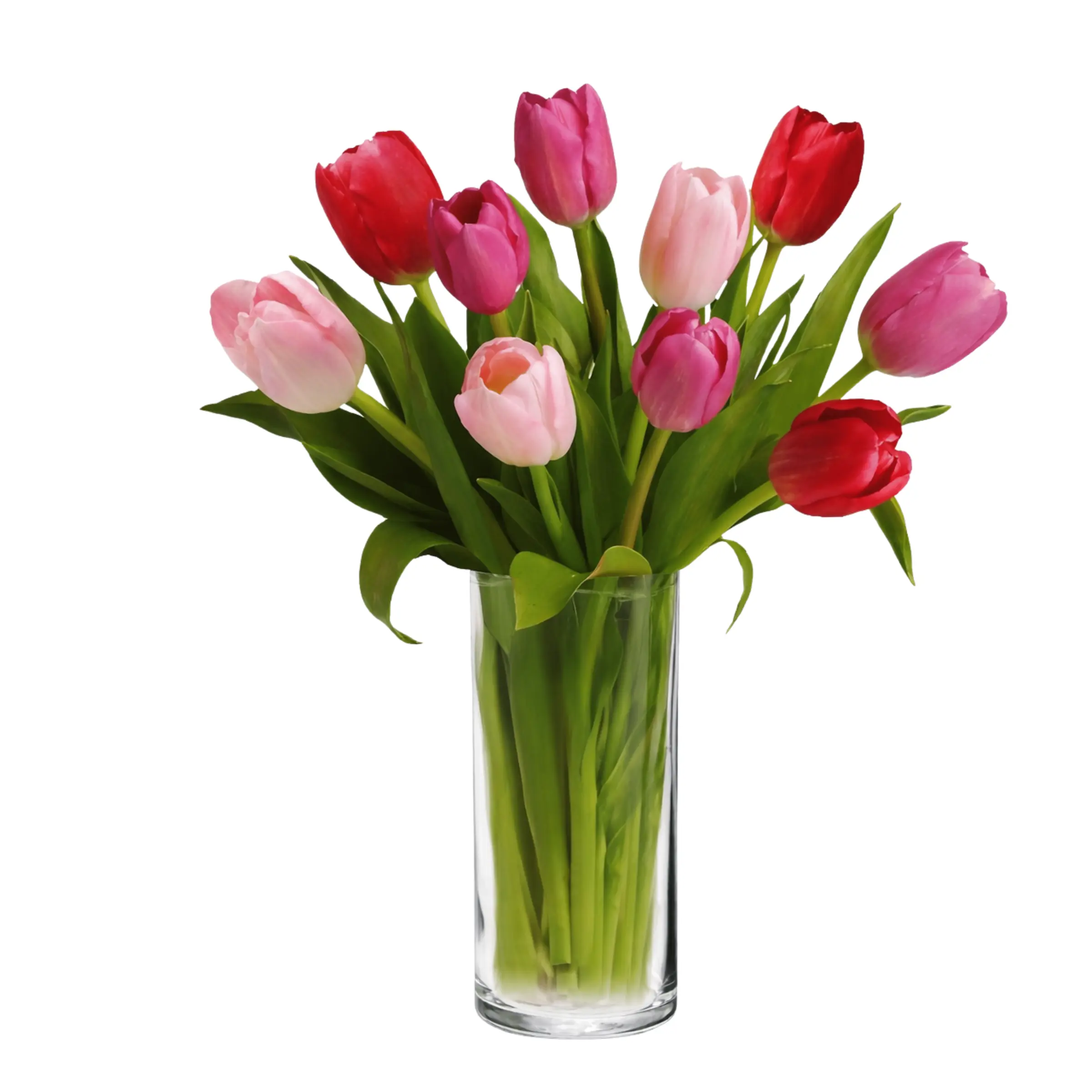 10 MIXED TULIPS